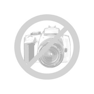 ProLiant DL360e Gen8 Special Server 300 GB 6G SAS 15k 2.5" MDL HDD (Refurb)